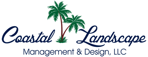 Landscaper in Victoria Texas